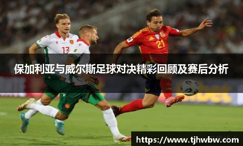 保加利亚与威尔斯足球对决精彩回顾及赛后分析