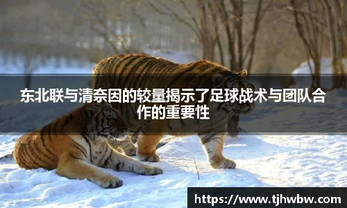 xc体育官方网址